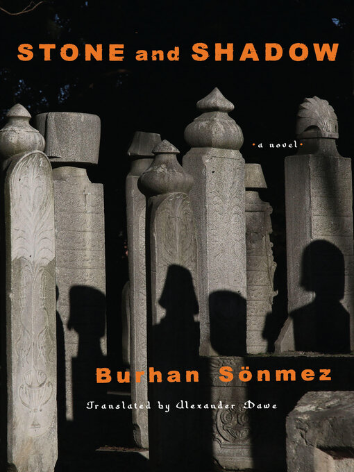 Cover image for Stone and Shadow